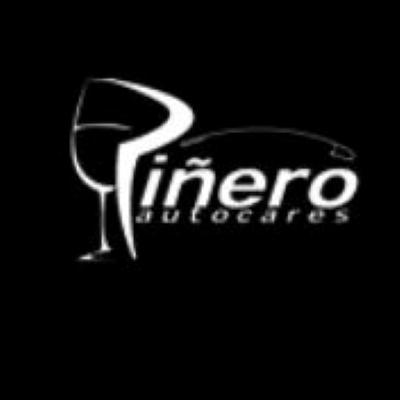 AUTOCARES PIÑERO